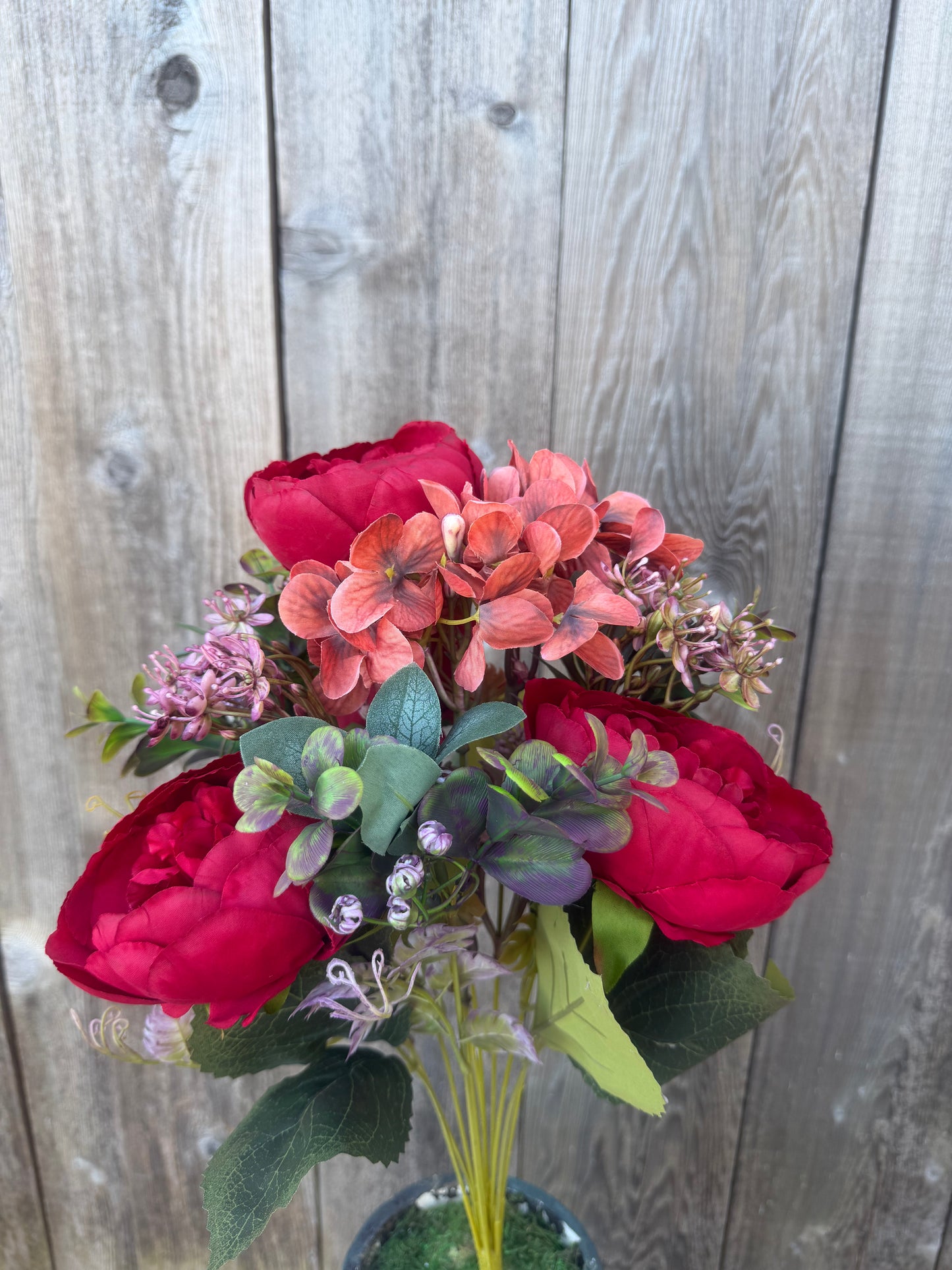 PEONY MINI PLASTIC    85431-RD