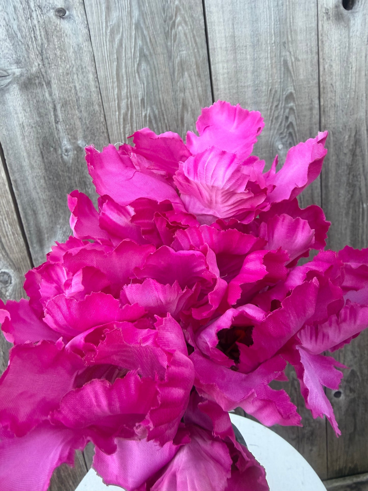 TULIP BUSH   82526-BTY