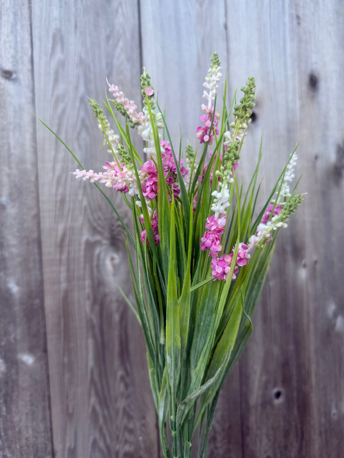 LAVENDER BUSH   85000-PK