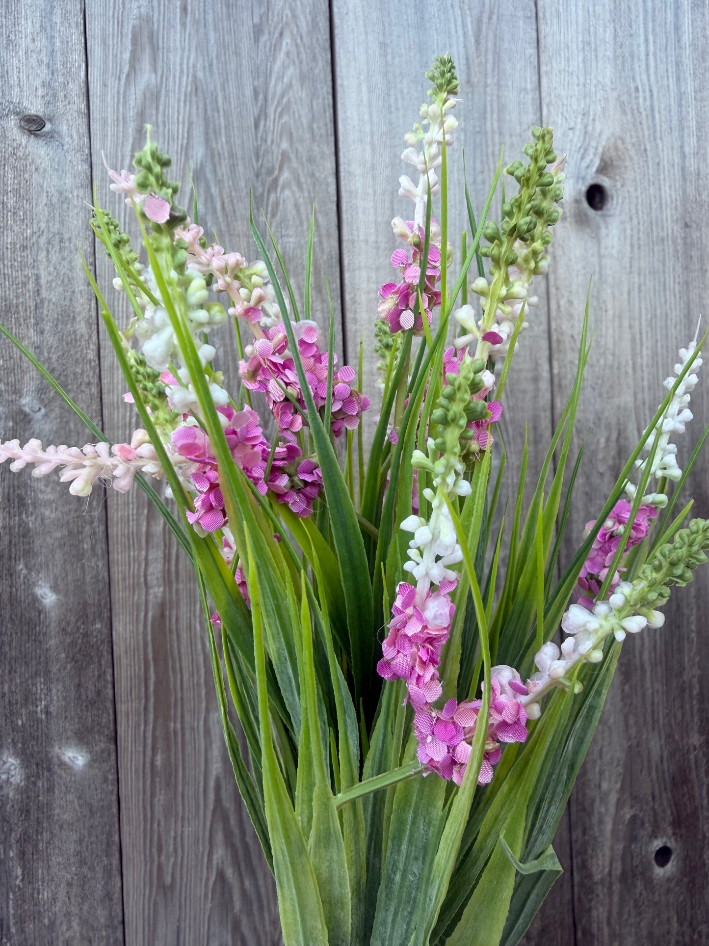 LAVENDER BUSH   85000-PK