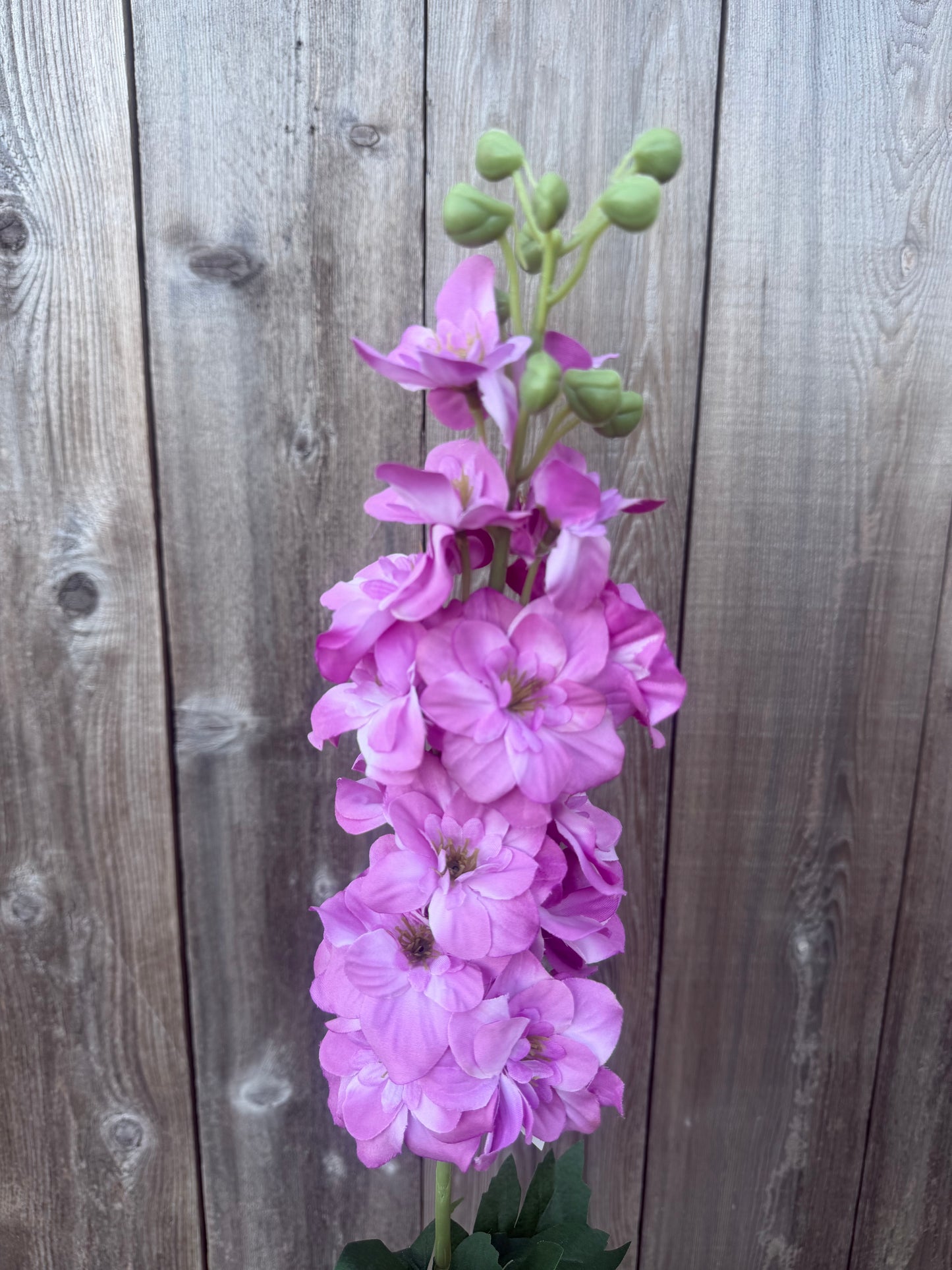 34 IN SINGLE DELPHINIUM  84958-LILAC