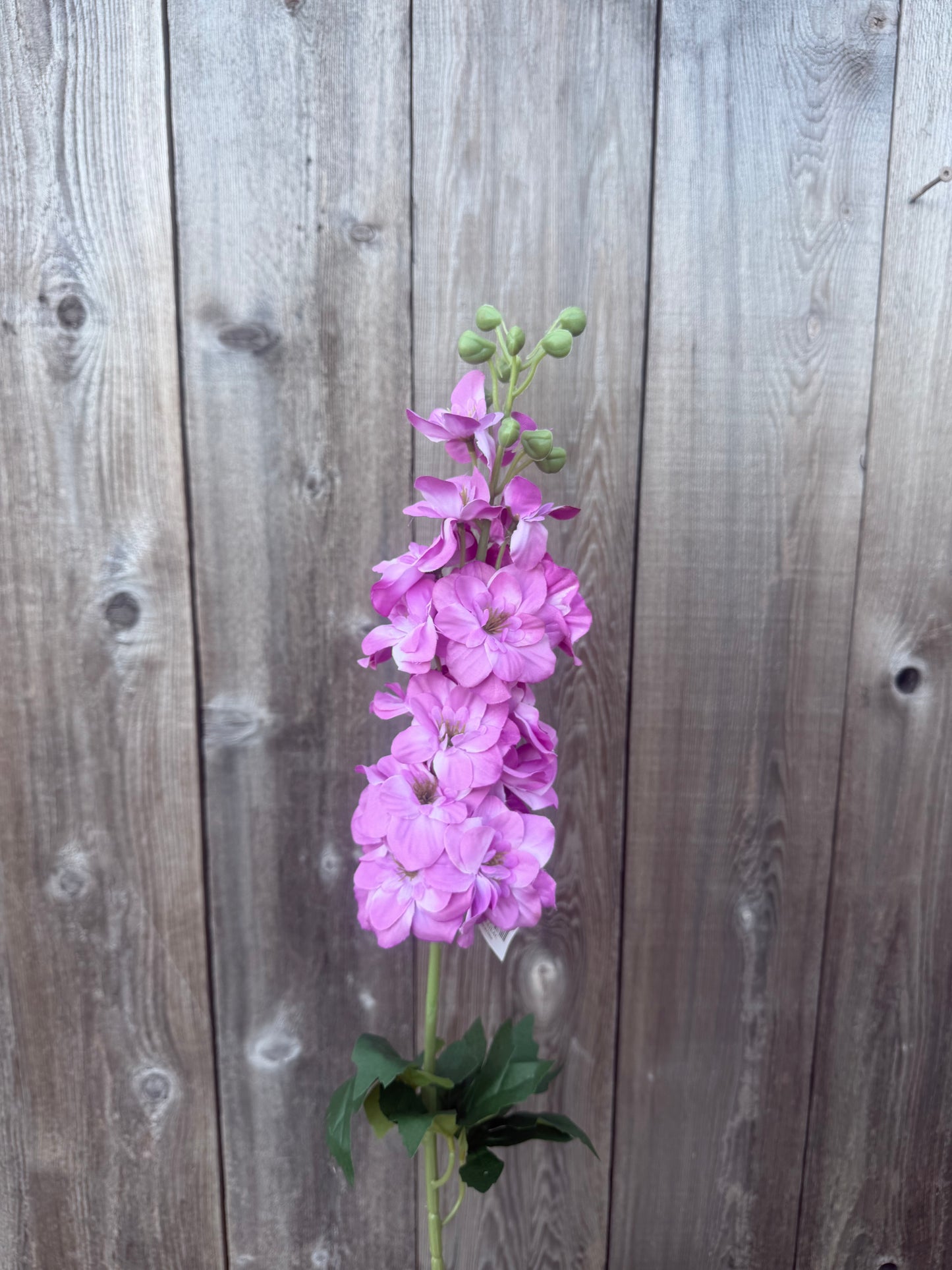 34 IN SINGLE DELPHINIUM  84958-LILAC