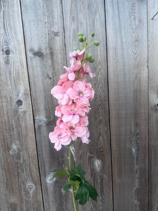 34 IN SINGLE DELPHINIUM  84958-PK