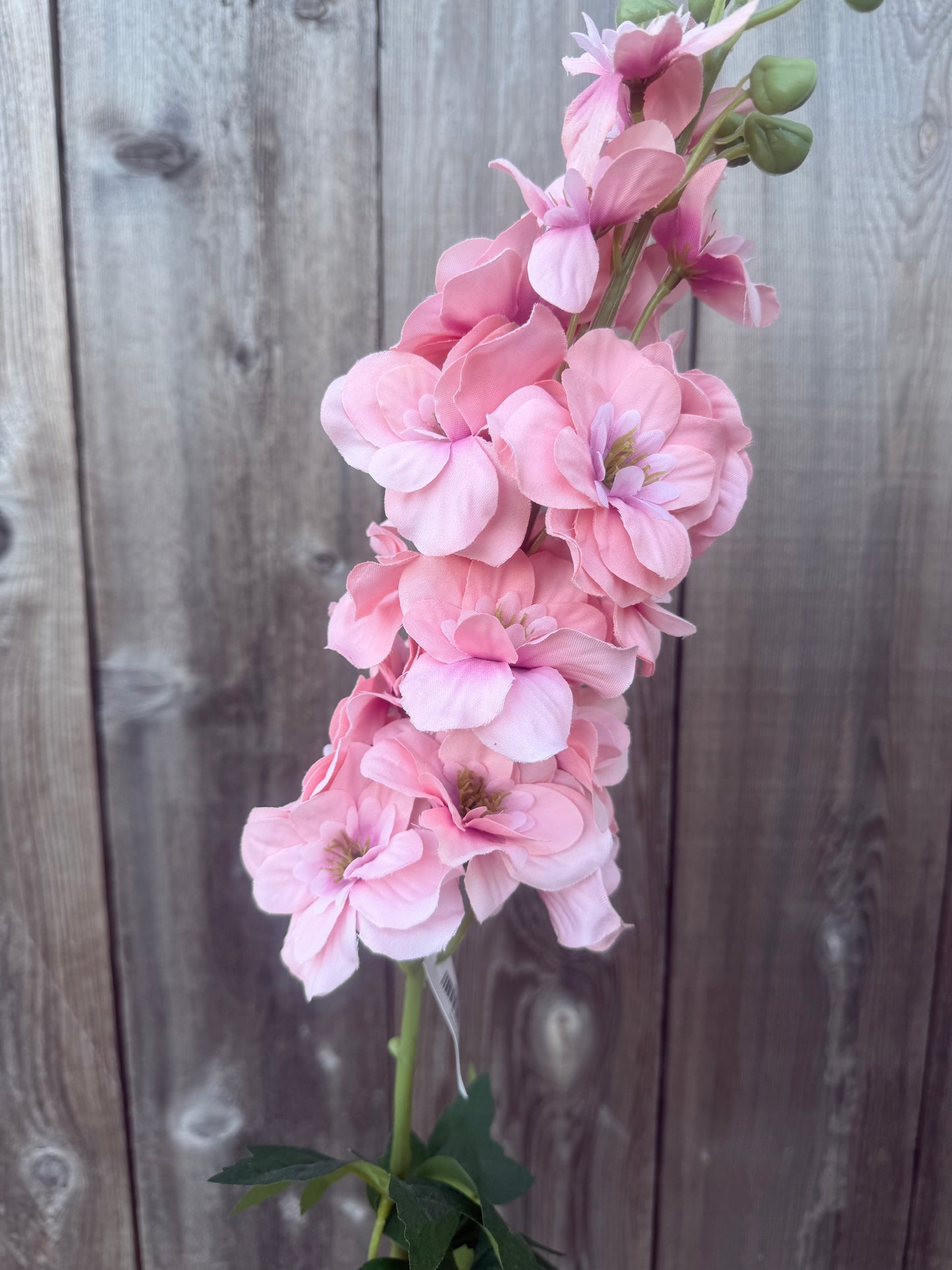 34 IN SINGLE DELPHINIUM  84958-PK