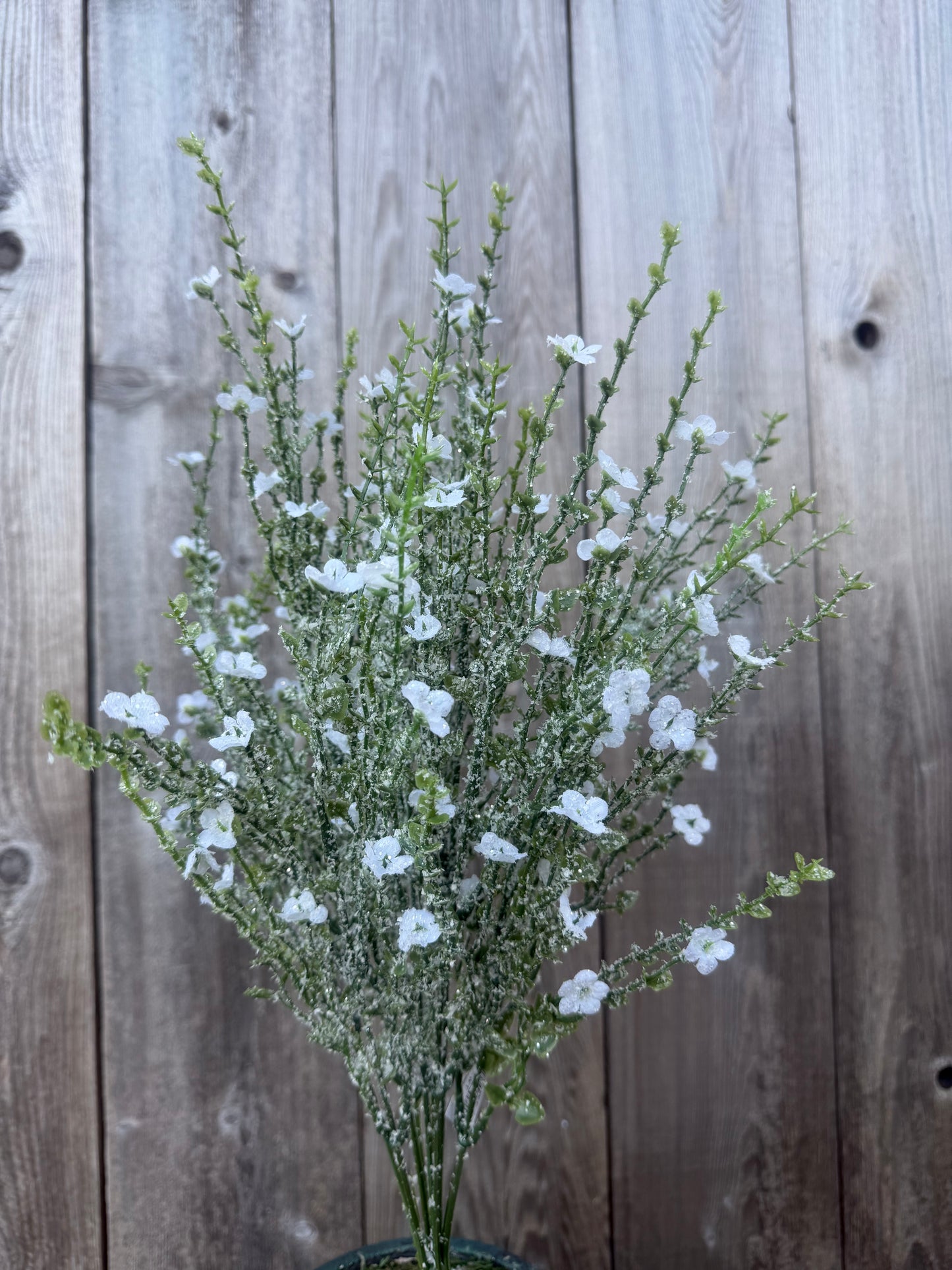 PLASTIC FLOWER W ICED   85263-WT