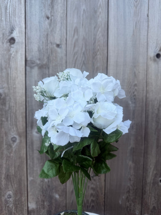 ROSE HYDRANGEA BUSH   84031-CR