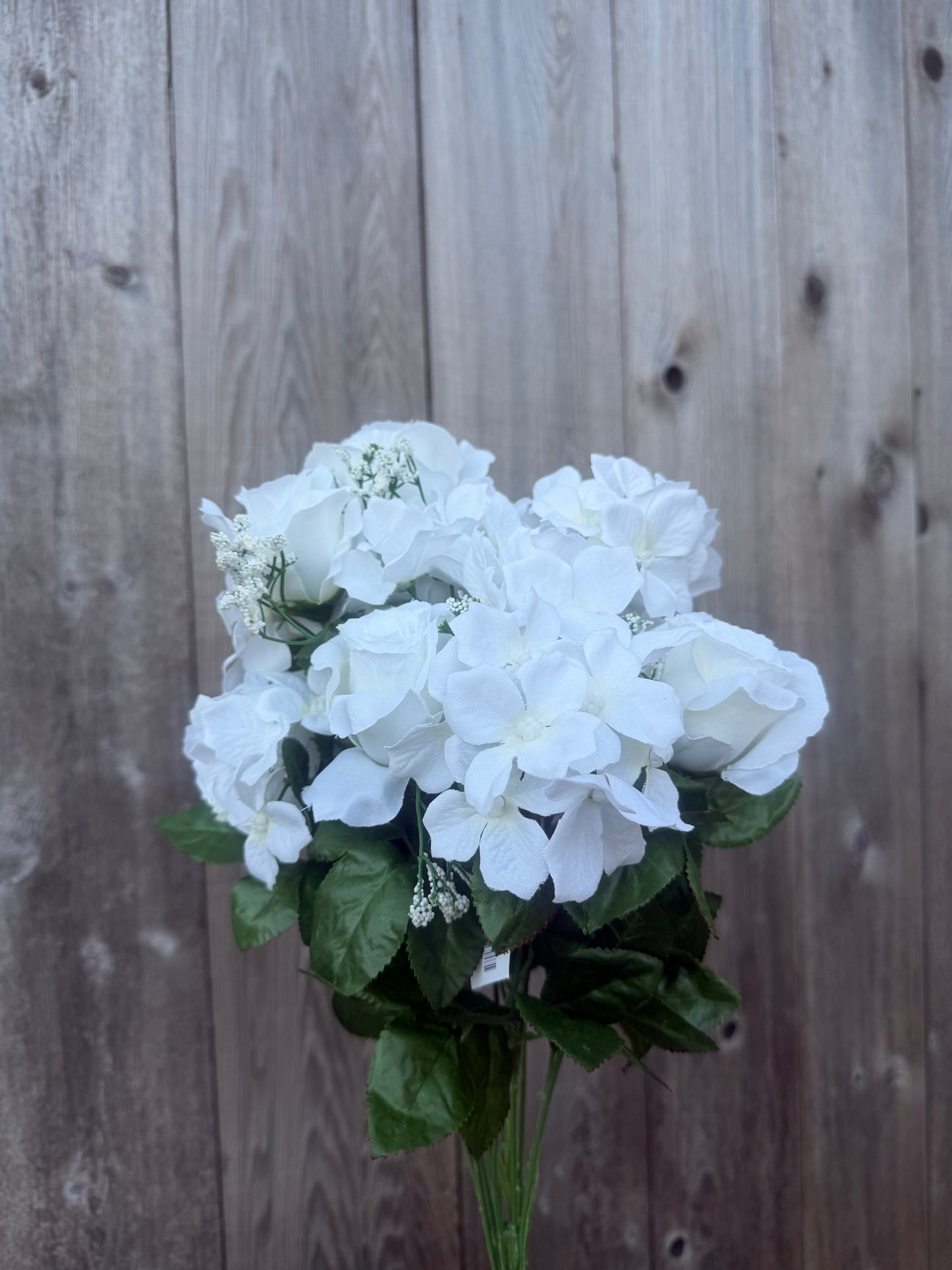 ROSE HYDRANGEA BUSH   84031-CR