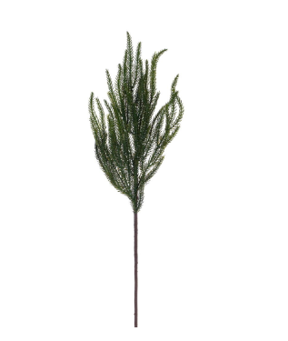 Green Norfolk Pine Spray  24.5"   RS240410