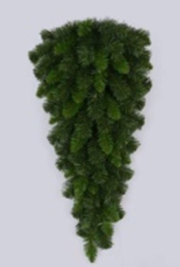 PINE TEARDROP   XX778309