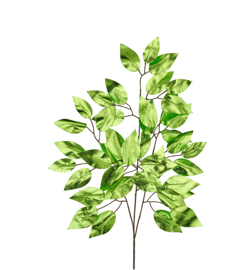 METALLIC FICUS SPRAY   XS244439