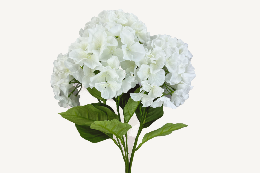 Hydrangea Bush    35147CM