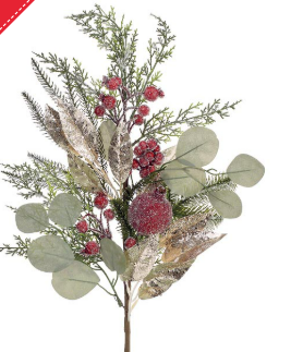 FROSTED POMEGRANATES	9748306