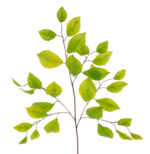 Rose Leaf Spray   FG663347 (YELLOW  GREEN) SET OF SIX