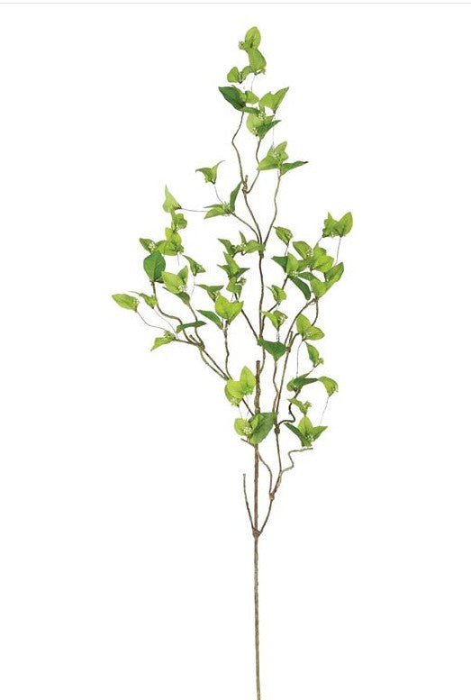JASMINE BERRY SPRAY, GREEN    FL6773-G