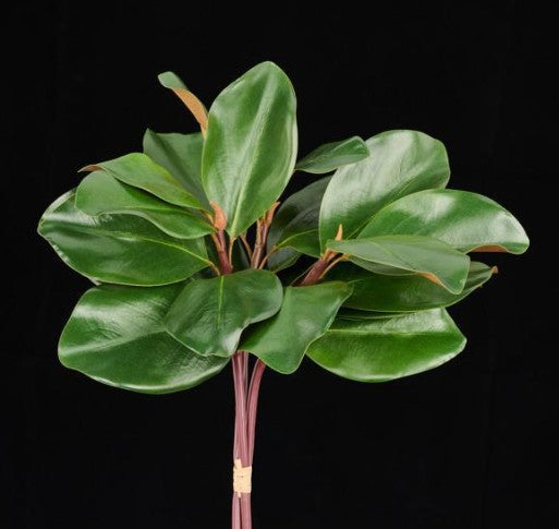 GREEN MAGNOLIA LEAF BUNDLE         FG6495