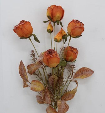 DRY LOOK ROSE BUSH       65767-OR
