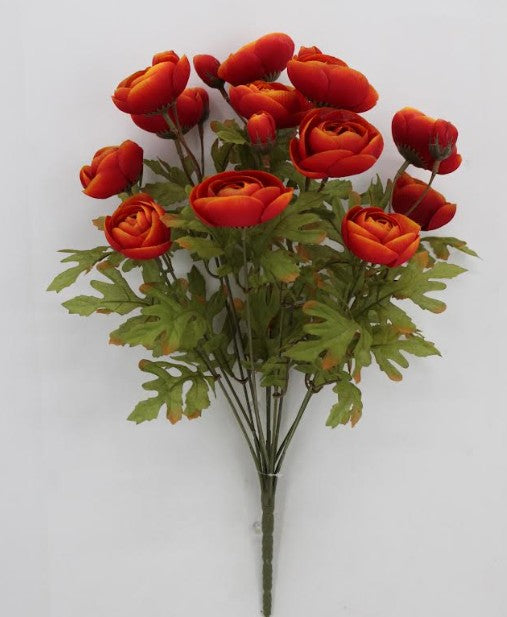 RANUNCULUS BUSH    85887-OR