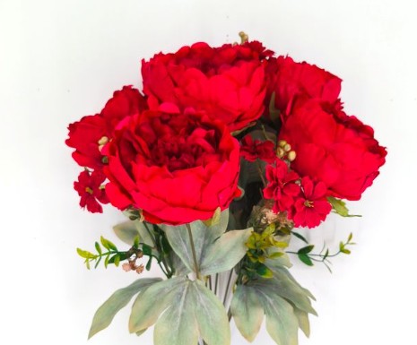 PEONY BUSH    85323-RD
