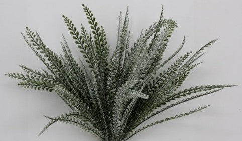 FROSTED BUTTON FERN      85805