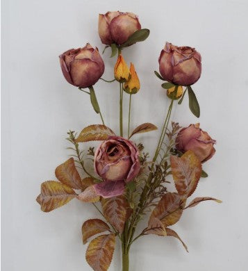 DRY LOOK ROSE BUSH      65767-MV