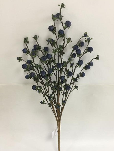 WILD BERRY SPRAY    65135-BL