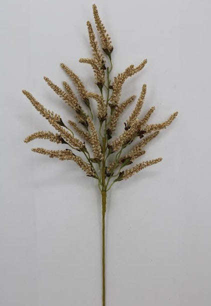 AMARANTHUS SPRAY    65668-GN