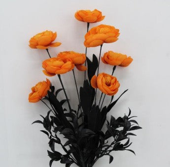 RANUNCULUS BUSH     65766-OR