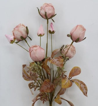 DRY LOOK ROSE BUSH        65767-PK