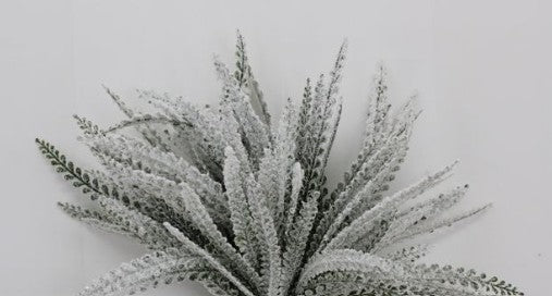 FROSTED BUTTON FERN       85806