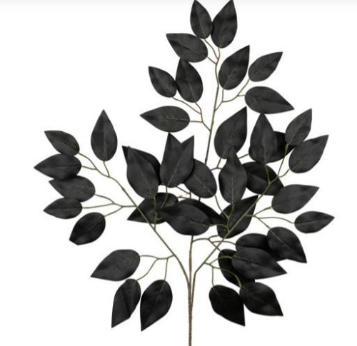 FICUS SPRAY BLACK   FG633702