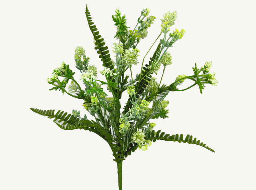 Sedum Fern Bush    35132CMGN