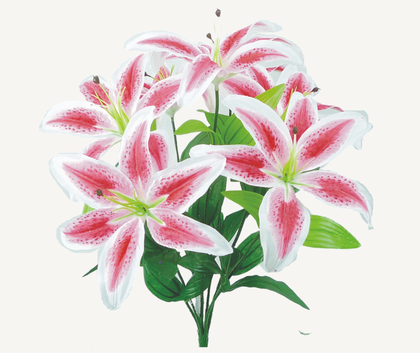 Lily Bush     35022RU