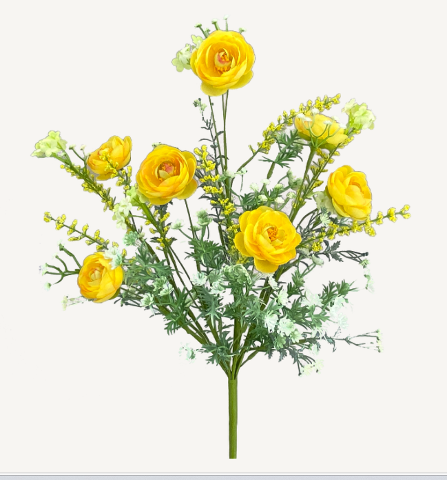 Ranunculus Filler Bush  63101YW