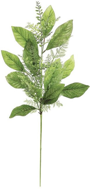 Magnolia Foliage Fern PM2236
