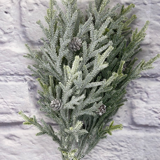 ICED CEDAR BUSH   83230