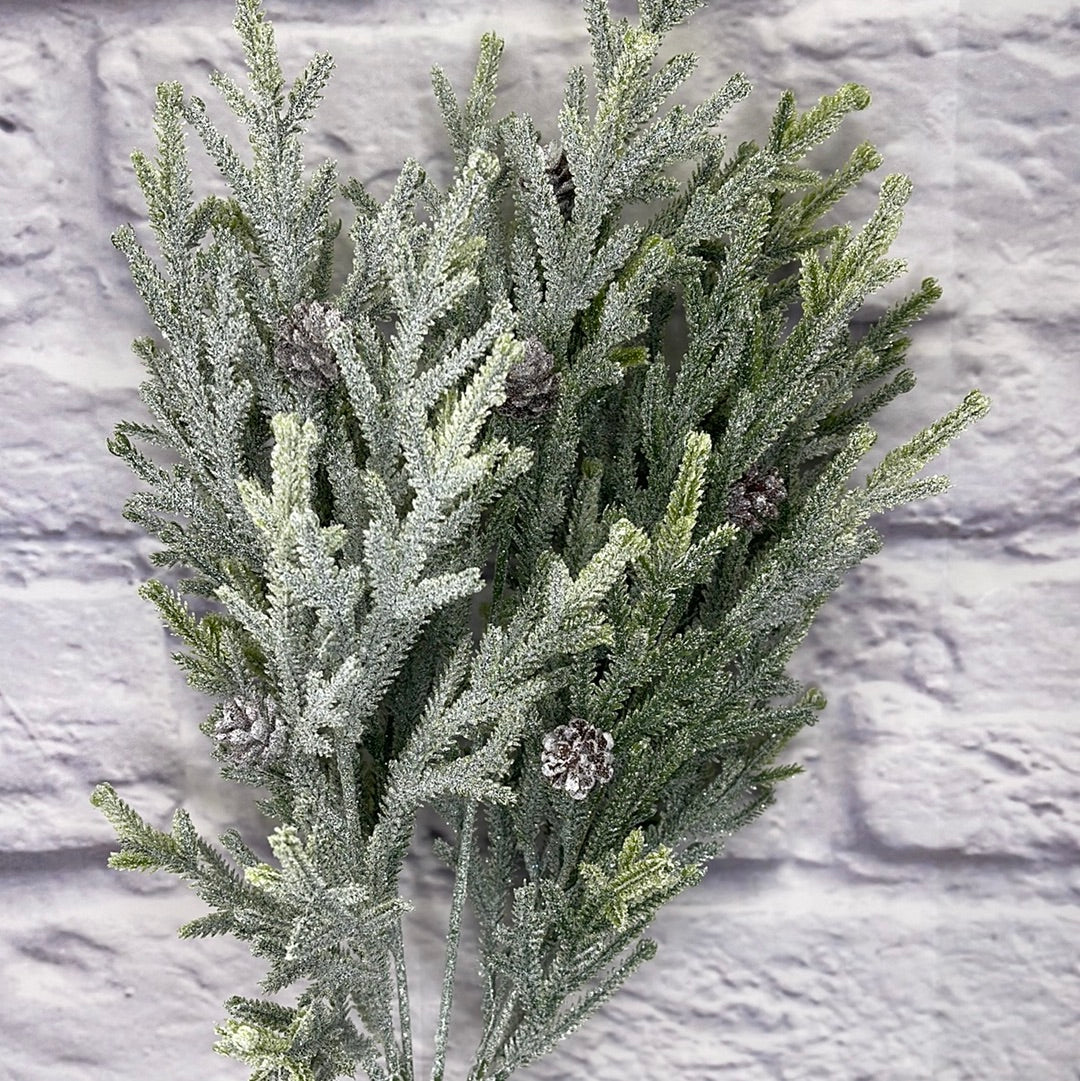 ICED CEDAR BUSH   83230