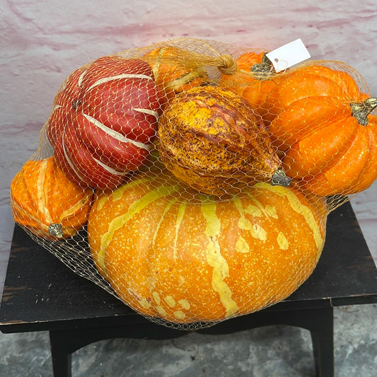 Mixed Pumpkin In Net  54238