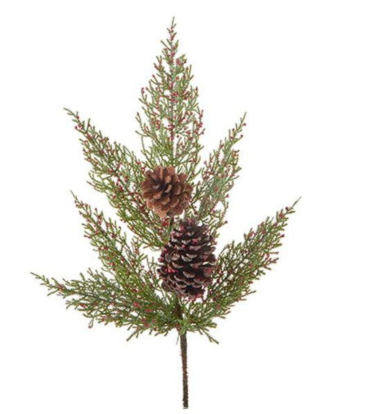 Pinecone and Berry Pick   F4202571