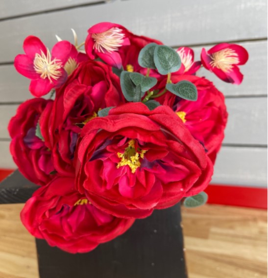 CABBAGE ROSE BUSH RED 20009RD