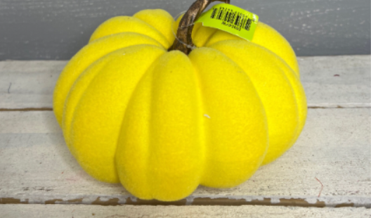 Flocked Pumpkin H4xDIA7   56954YW