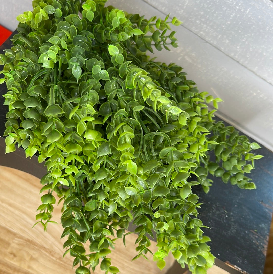 EUCALYPTUS BUSH 82814GN Jam Designs and Supplies